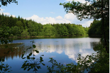 Un des nombreux étangs du Plateau des 1000 étangs Laurent Seguin